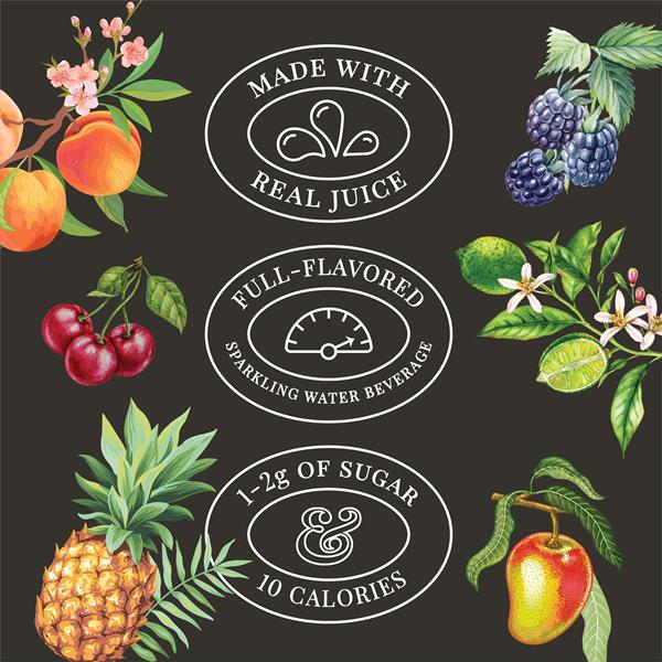 Bonsai Mango Pineapple Ginger Sweetened Sparkling Water 8Pk | Hy