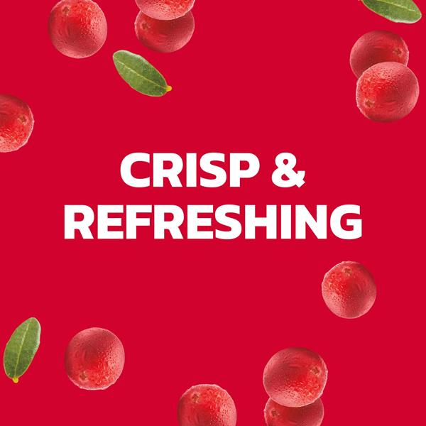 Ocean Spray Sparkling Cranberry Juice Drink 4Pk | Hy-Vee Aisles